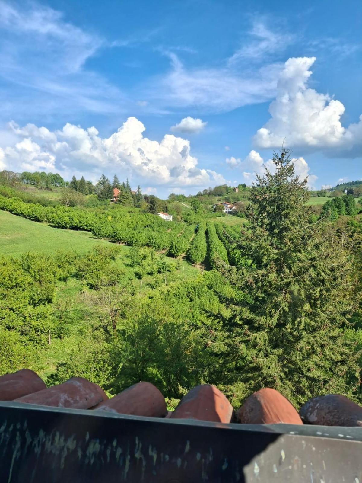 Cascina Bringin Apartment Mondovi Exterior photo